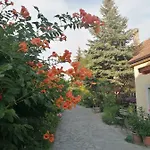 Bed and breakfast Szentesi Panzió Fertőrákos