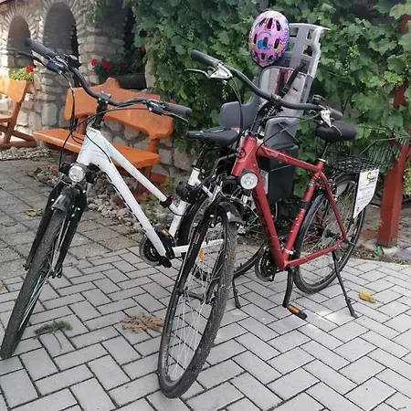 Szentesi Panzio 3* Fertőrákos