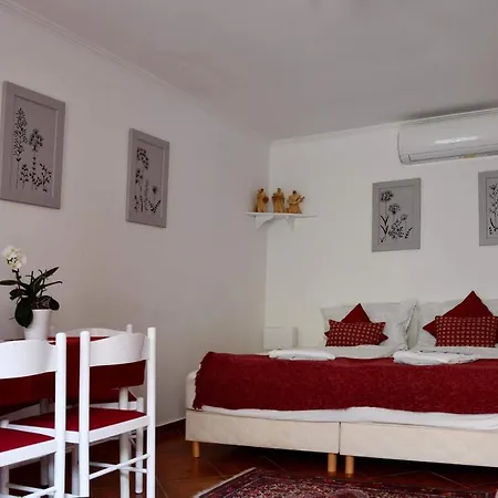 Szentesi Panzio B&B *