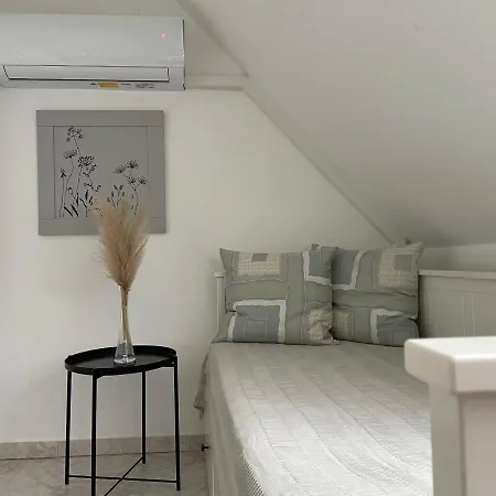 Szentesi Panzio Es Kerekparkoelcsoenzo B&B