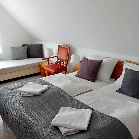 Szentesi Panzio Es Kerekparkoelcsoenzo 3*