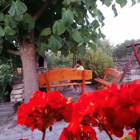 B&B Szentesi Panzio
