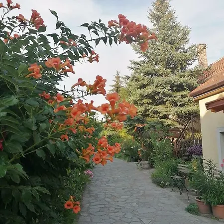 B&B Szentesi Panzio Fertőrákos