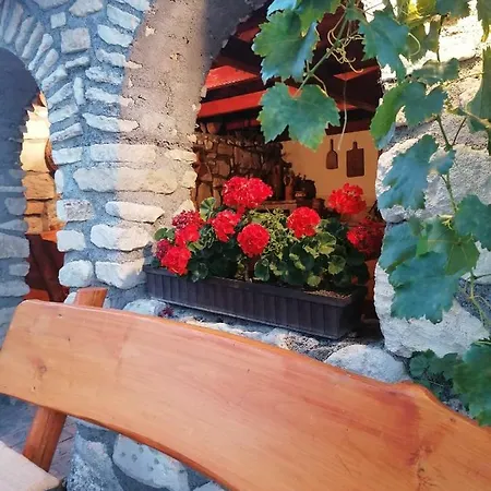 Szentesi Panzio B&B *