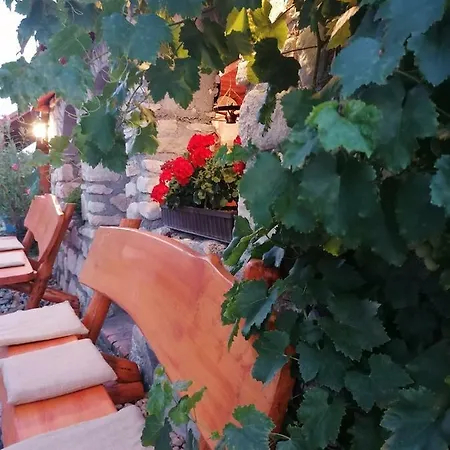 B&B Szentesi Panzio Fertőrákos