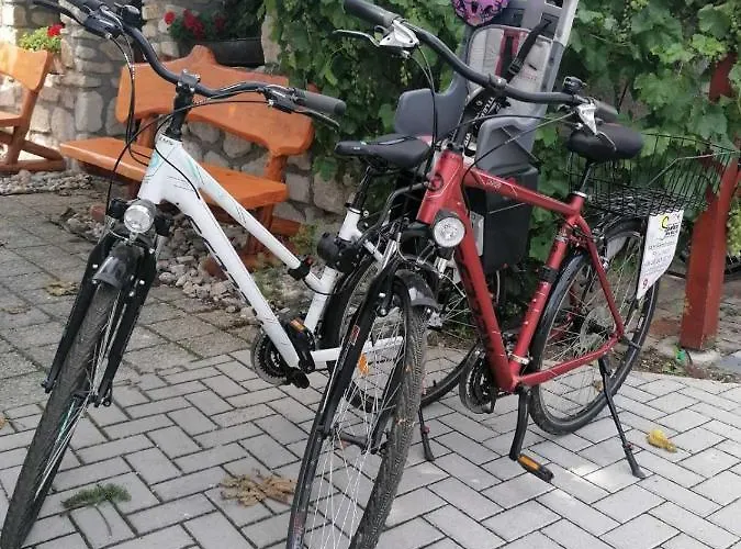 Szentesi Panzio 3* Fertőrákos