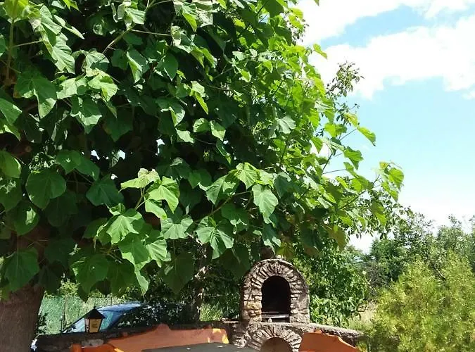 Szentesi Panzio Bed & Breakfast 3*