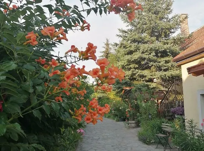 Bed & Breakfast Szentesi Panzio Fertőrákos